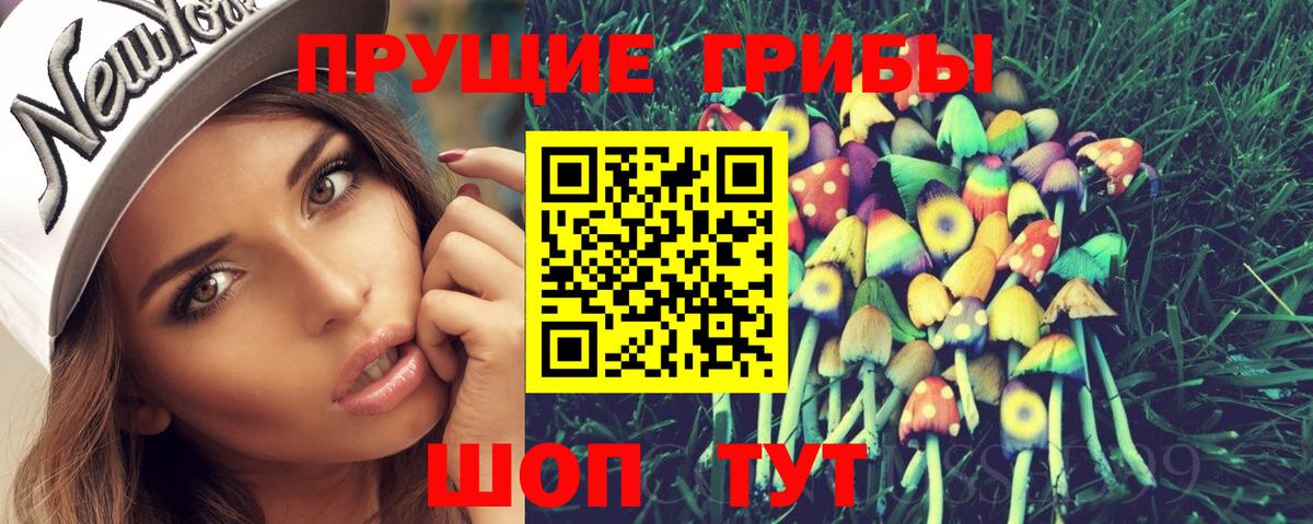 цены   Вход с VPN  Сухой Лог  Псилоцибиновые грибы GOLDEN TEACHER 