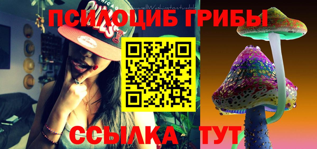 Псилоцибиновые грибы Psilocybine cubensis Сухой Лог